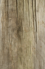 Fototapeta na wymiar A full page of old split wood background texture