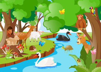 Forest scene with many types of animals