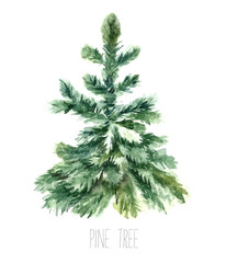 Watercolor christmas tree.