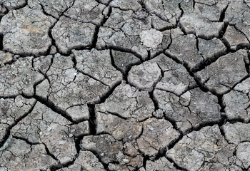Dry cracked earth background
