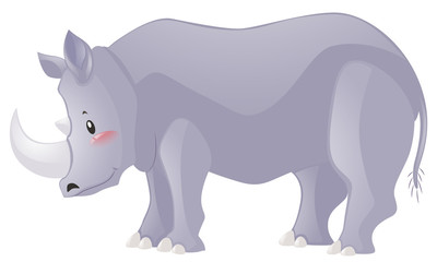 Rhino with sharp horn