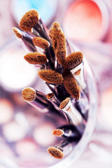 Pinceaux de maquillage professionnels dans ambiance maquilleuse