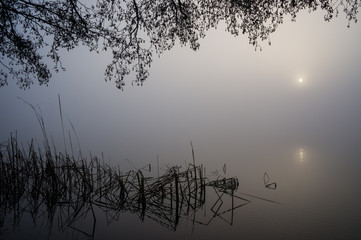 Obraz na płótnie Canvas Magical sunrise over the lake framed by tree branches