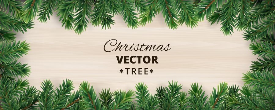 Banner with vector christmas tree branches on wooden background.