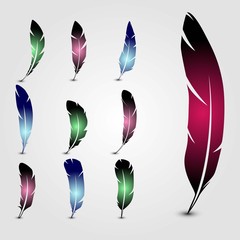 Set of feathers. Vector illustration.