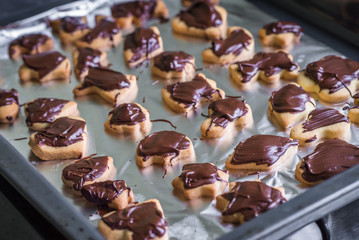 delicious cookies with chocolate for baking sheet