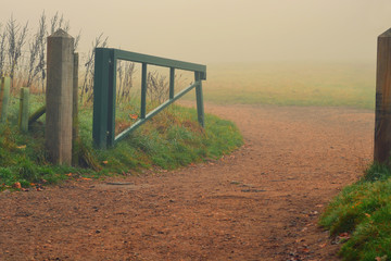 Misty Autumn field 