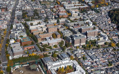 京都大学