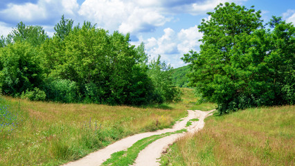 Fototapeta na wymiar Country road in forest and sky