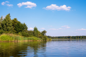 Fototapeta na wymiar Beautiful summer landscape on the lake, the green grass and blue sky.
