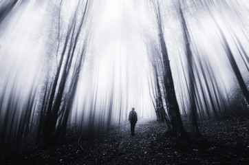 man walking in a surreal forest