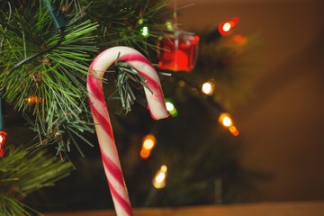 Close-up of candy cane hanging on christmas tree - Powered by Adobe