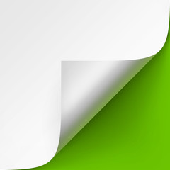 Vector Curled corner of White paper with shadow Mock up Close up on Bright Green Background