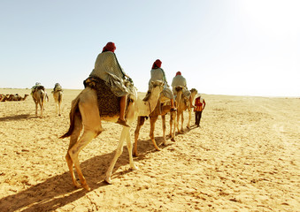 Sahara desert. Caravan of tourists passing desert lake on camels