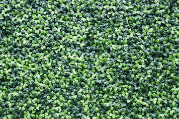 Green wall made of artificial leaves pattern background.