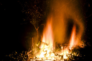 Open flames burning dead branches and weeds - obrazy, fototapety, plakaty