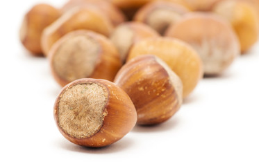 Hazelnuts on white background