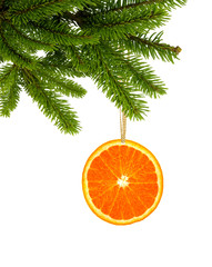Fototapeta na wymiar Orange slice on green christmas tree branch as decoration on whi