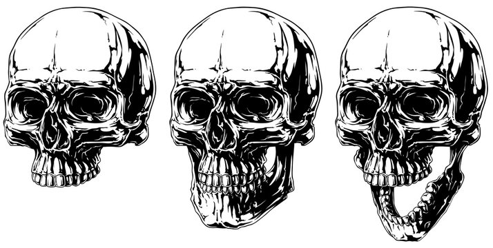 Cool detailed horror human skull graphic set