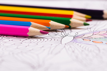 Multi-colored pencils and coloring book for adults