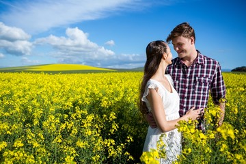 Romantic couple embracing each other in mustard field