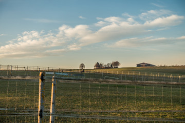 Fototapeta premium Agrarlandschaft am Abend