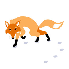 Vector isolated illustration of a sneaky sly fox made in cartoon flat style. Vixen walks on the snow in winter.