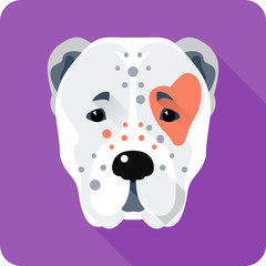 Vector head Central Asian Shepherd Dog icon flat design