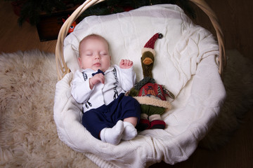 little boy dressed as a gentleman is sleeping in a straw wicker basket under the Christmas tree