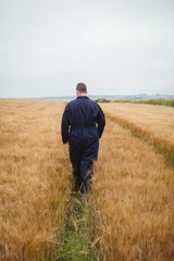 Naklejka na ściany i meble Rear view of farmer walking in the field