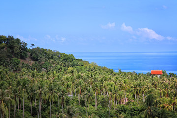 View on the ocean Koh Samui, Thailand. Palm trees, red rooftop o