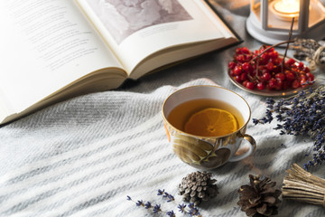 cup of hot tea with lemon on wool shawl with opened book, burning candle, cones, berries and lavender