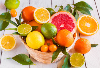 Diverse Zitrusfrüchte (Orange, Grapeftuit, Zitrone, Mandarine, Limette)