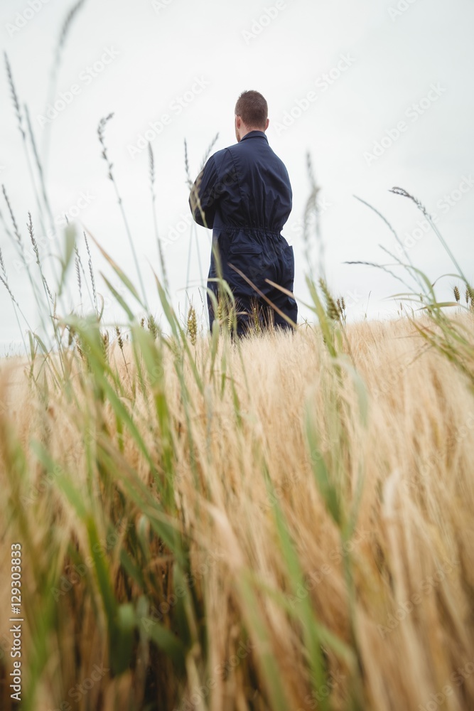 Poster rear view farmer standing with arms crossed in the field