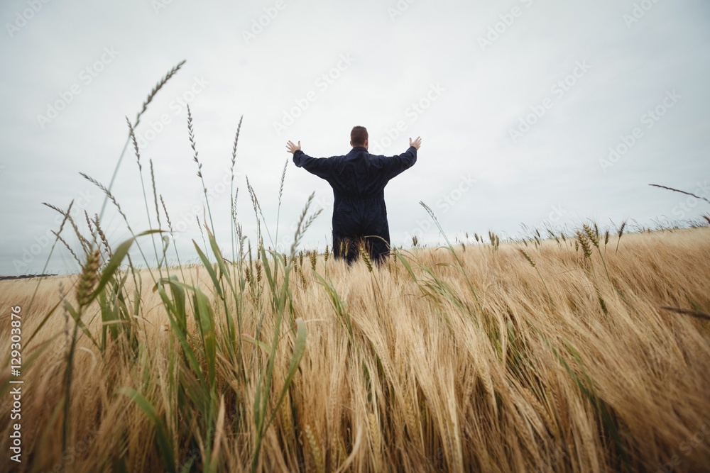 Poster rear view of farmer standing in the field