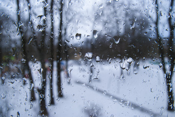 Raindrops on the Window  the trees background