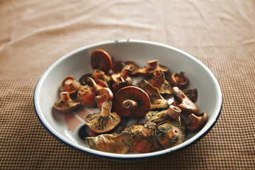 A bowl of fresh forest mushrooms ready to be cooked isolated in center on a table covered with vintage traditional brown and white checkered towel