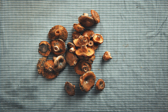 A Bunch Of Small Button Mushrooms Ready To Be Prepared Lying On A Navy And Blue Tablecloth