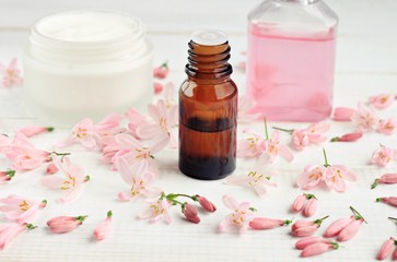Botanical fragrant cosmetic. Essential oil bottle, facial cream, tonic, fresh pink blossom petals....
