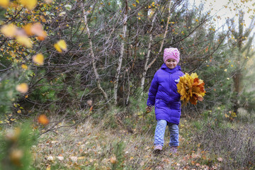 Little girl with maple leaves in the Park.Autumn walk in the woo