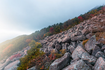 Naklejka premium Mountain Landmarks in South Korea Biseulsan National Park The best Image of landscape Mountain autumn in South Korea.