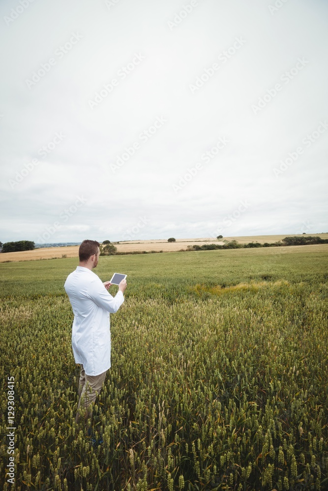 Poster agronomist using digital tablet in the field