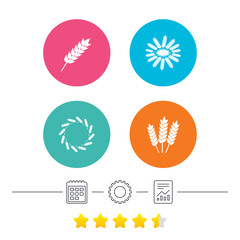 Agricultural icons. Gluten free or No gluten signs. Wreath of Wheat corn symbol. Calendar, cogwheel and report linear icons. Star vote ranking. Vector