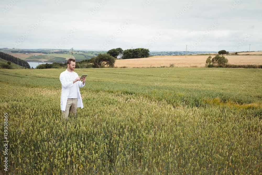 Poster agronomist using digital tablet in the field