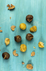 Peeled and unpeeled roasted chestnuts on vibrant turquoise backg