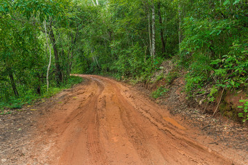 Naklejka na ściany i meble Tire tracks on a muddy road in the countryside