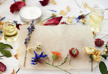 Various dried medicinal herbs on craft paper for recipe or note. Essential oils, cream sample in blur background. Herbal medicine homemade preparation set.