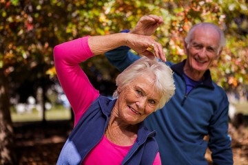 Elderly couple making fitness