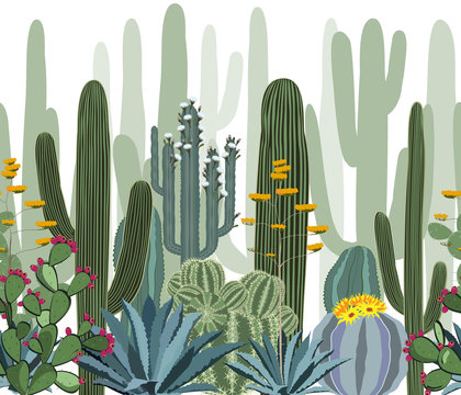Seamless pattern with cactus, agave, and opuntia.