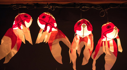 Japanese goldfish lanterns for festival　柳井金魚ちょうちん祭り